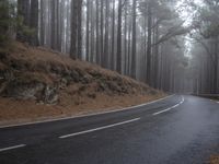 a wet road is winding up to the top of a steep hill next to a wooded area