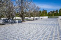 Winter Architecture in the City: Reflecting the Beauty