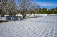 Winter Architecture in the City: Reflecting the Beauty