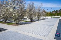 Winter Architecture in the City: Reflecting the Beauty