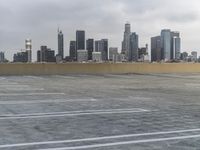 Winter dawn skyline of a metropolitan city