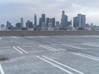 Winter dawn skyline of a metropolitan city