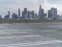 Winter dawn skyline of a metropolitan city