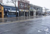 A Winter Day in Michigan: Snow in a Residential Area