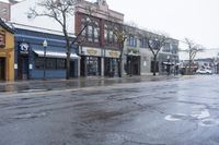 A Winter Day in Michigan: Snow in a Residential Area