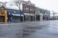 A Winter Day in Michigan: Snow in a Residential Area