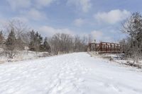 Winter Day in Residential Suburban Landscape