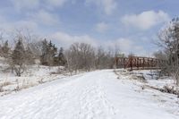 Winter Day in Residential Suburban Landscape