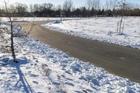 A Winter Day on the Road: Snow Covered Landscape