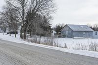 Winter Day in Rural Ontario 005