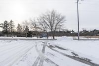 Winter Day in Rural Ontario, Canada 002