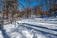 the snowy path is very clean and empty in the woods with no snow, but a fence is at the end