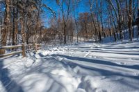 the snowy path is very clean and empty in the woods with no snow, but a fence is at the end