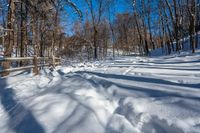 the snowy path is very clean and empty in the woods with no snow, but a fence is at the end