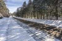 Winter Day in Toronto: Exploring the Forest