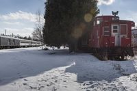 a red caboose and train cars parked near a tree and a snow covered trail