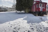 a red caboose and train cars parked near a tree and a snow covered trail