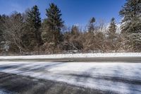 snow covered field and road, with trees on both sides, under blue sky and clouds