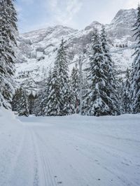 Winter Landscape in the Alps