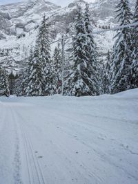 Winter Landscape in the Alps