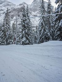 Winter Landscape in the Alps