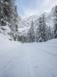 Winter Landscape in the Alps