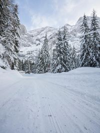 Winter Landscape in the Alps