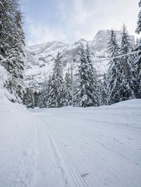 Winter Landscape in the Alps