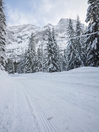 Winter Landscape in the Alps
