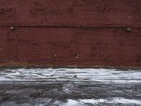 Winter in Detroit: Brick Wall Covered in Snow