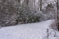 there is snow on the ground and in the woods beside a path with trees all around it