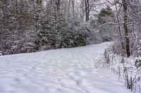 there is snow on the ground and in the woods beside a path with trees all around it