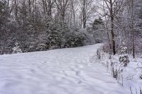 there is snow on the ground and in the woods beside a path with trees all around it