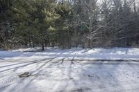 a view of snow on the ground with trees and light on top in the background