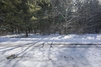 a view of snow on the ground with trees and light on top in the background