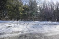 a view of snow on the ground with trees and light on top in the background