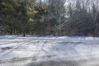 a view of snow on the ground with trees and light on top in the background