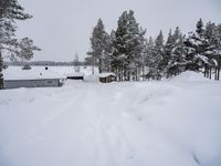 Winter in Sweden: Snow Covered Road 001