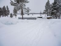 Winter in Sweden: Snow Covered Road