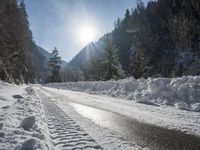 a dirt road surrounded by snow and pine trees on a sunny day with a sun shining through the trees