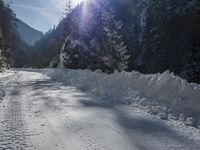 a dirt road surrounded by snow and pine trees on a sunny day with a sun shining through the trees