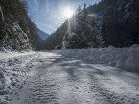 a dirt road surrounded by snow and pine trees on a sunny day with a sun shining through the trees