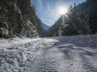 a dirt road surrounded by snow and pine trees on a sunny day with a sun shining through the trees