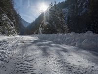 a dirt road surrounded by snow and pine trees on a sunny day with a sun shining through the trees