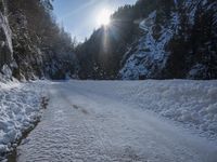 a dirt road surrounded by snow and pine trees on a sunny day with a sun shining through the trees