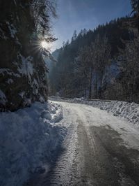 sun peeking in between snowy trees, while it looks snowy and icy on the road