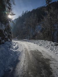 sun peeking in between snowy trees, while it looks snowy and icy on the road