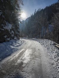 sun peeking in between snowy trees, while it looks snowy and icy on the road