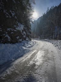 sun peeking in between snowy trees, while it looks snowy and icy on the road