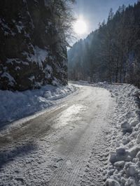 sun peeking in between snowy trees, while it looks snowy and icy on the road